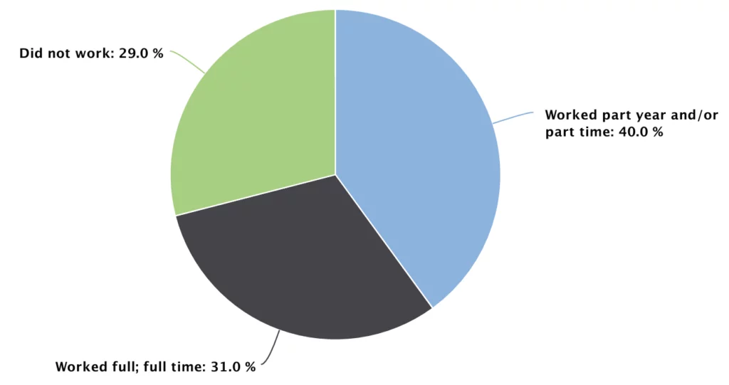 FIGURE 4: WORK PATTERNS (15 YEARS OR OLDER) – PRINCE COUNTY REGION Pie chart with this values: Did not work: 29.0 % Worked part year and/or part time: 40.0 % Worked full year; full time: 31.0 %